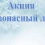 Профилактическая акция «Безопасный лед».. - Шипуновский район