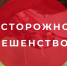О возникновении эпизоотического очага по бешенству в с. Шипуново. - Шипуновский район