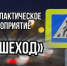 В Шипуновском районе 11 и 12, а также 16. и 17 декабря пройдет профилактическое рейдовое мероприятие «Пешеход». - Шипуновский район