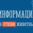 Мероприятия в рамках реализации государственных полномочий по обращению с животными без владельцев. - Шипуновский район